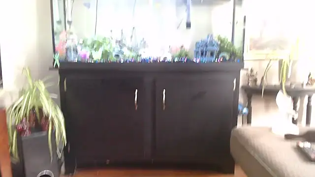 EspanolVato online show from 04.15.26