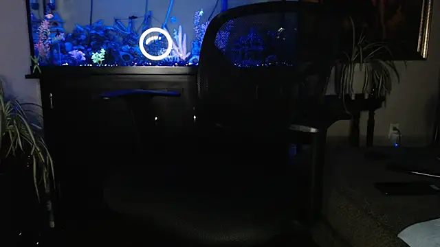 EspanolVato online show from 04.17.26