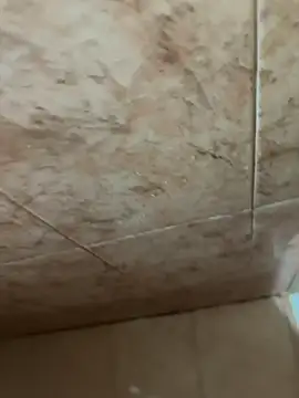 AdriCv online show from 01.11.26