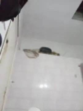 darkgodessone online show from 04.04.26