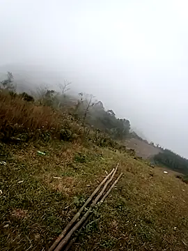 him220 online show from 02.15.26