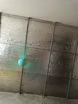 Snapshot of Sana-vn chatting on 05.27.26 Sana-vn online show from 05.27.26