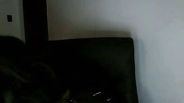 Aoidandelion online show from 02.15.26