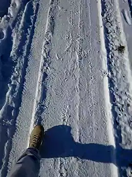 Erz84 online show from 02.19.25