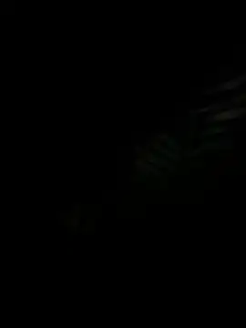 GraszkIgraszka69 online show from 01.17.26