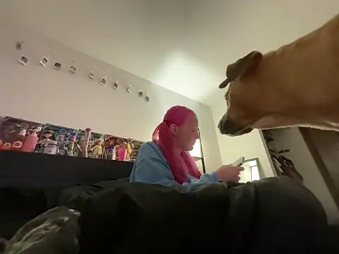 Snapshot of prettygirltracy_12 chatting on 02.17.26 prettygirltracy 12 online show from 02.17.26