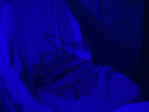 WarmSound online show from 01.17.26