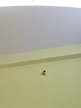 trinasa online show from 04.08.26