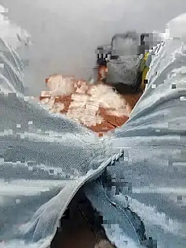 parcelogy online show from 01.08.26