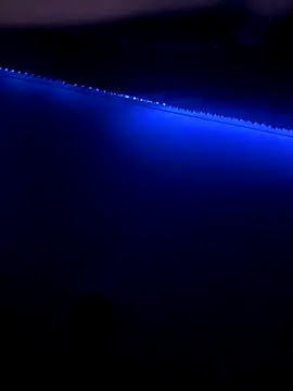 Actionlord7 online show from 01.08.26