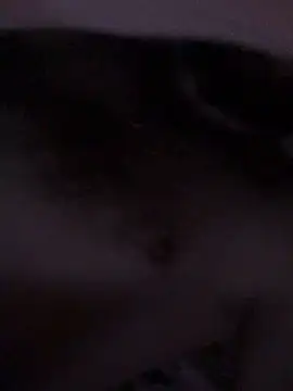 Di717 online show from 03.23.26