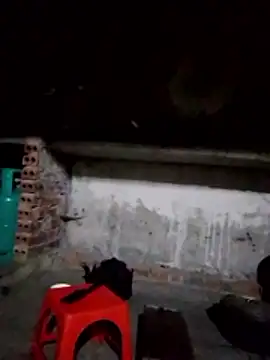 cdyyds-69 online show from 02.02.26