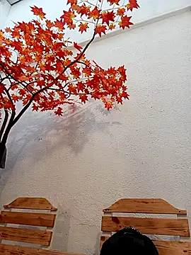 Dante Knox online show from 04.05.26