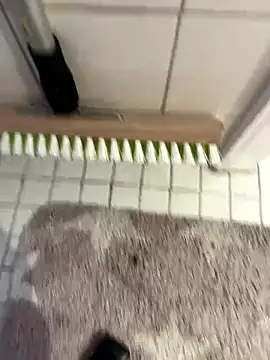 Hamsterdich online show from 01.18.26