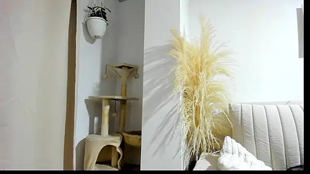  Sweet ary online show from 04.08.26