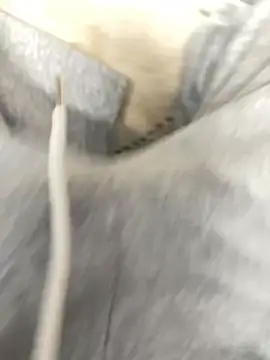 Bebun online show from 01.17.26