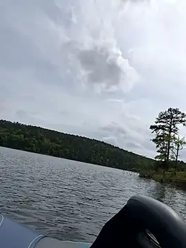 tastemecaroline online show from 04.15.26