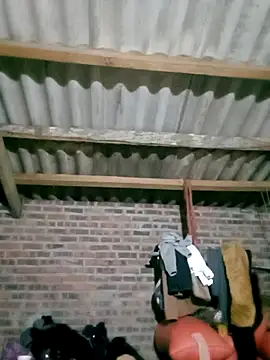 Diana-02 online show from 02.28.26