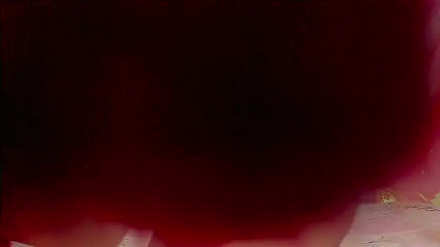 Snapshot of sweet__luna__ chatting on 02.21.26 sweet luna online show from 02.21.26