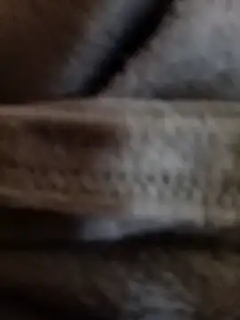 Daisy91 online show from 01.14.26