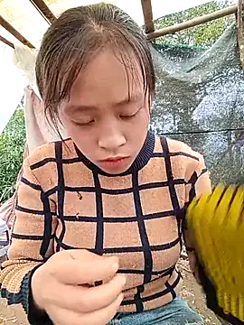 Hari-saka online show from 02.24.26