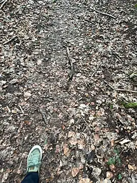 tony3729 online show from 02.28.26