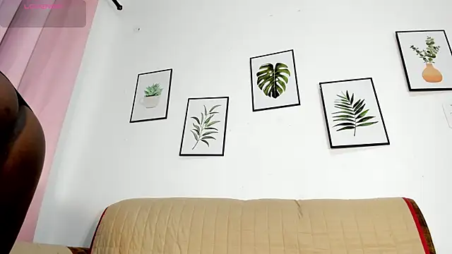 DomenicaW online show from 02.11.26