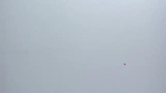 Melanie  Evans online show from 03.17.26