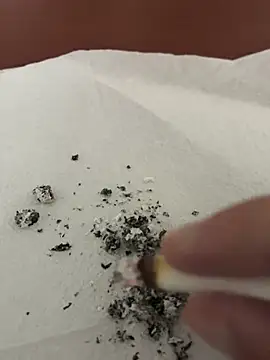 dickdondra online show from 02.02.26