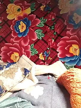 Snapshot of Reina_Fcup01 chatting on 02.14.26 Reina Fcup01 online show from 02.14.26