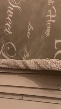 BadyAndShay5 online show from 03.22.26