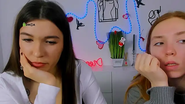 stella flower online show from 02.22.26