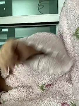 wjddjwjd online show from 02.06.26