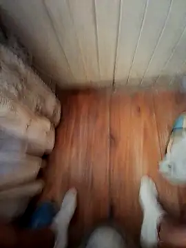 Snapshot of Franco10_- chatting on 02.15.26 Franco10 - online show from 02.15.26