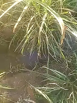 Cute Boy 4 online show from 02.27.26