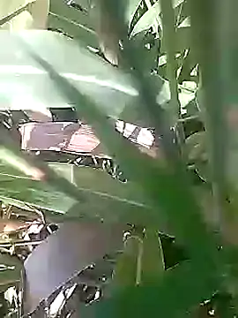 Cute Boy 4 online show from 03.01.26