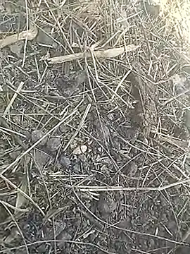 Cute Boy 4 online show from 03.08.26