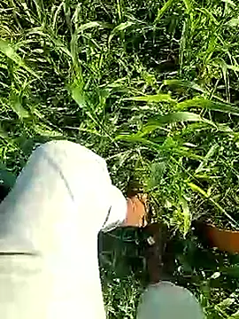 Cute Boy 4 online show from 04.06.26