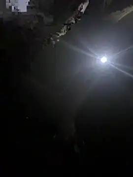 makemestayhard online show from 03.06.26