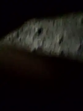 Snapshot of crazyxy12 chatting on 02.08.26 crazyxy12 online show from 02.08.26