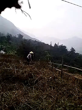 Tina-beo online show from 03.27.26