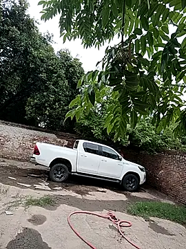 leo85rf online show from 02.05.26