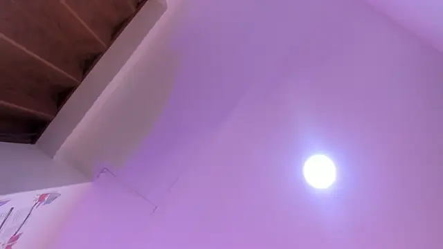 Paris Velvet online show from 04.08.26