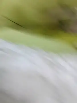 ONixCris online show from 02.20.26