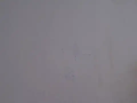 placerverdadero online show from 02.15.26