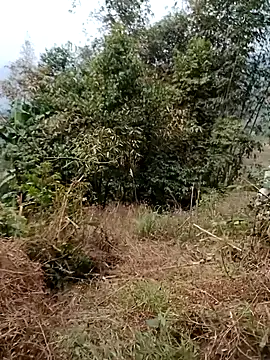 Snapshot of sushi-asa chatting on 02.24.26 sushi-asa online show from 02.24.26