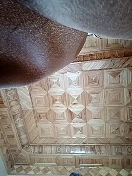 Snapshot of sushi-asa chatting on 03.01.26 sushi-asa online show from 03.01.26