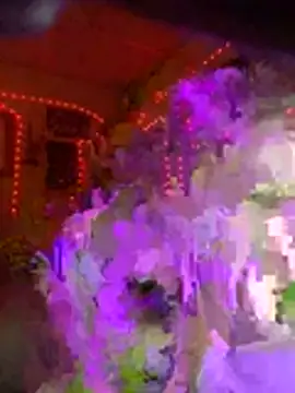 lilred808 online show from 02.07.26