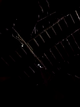 Snapshot of alex_callmemaybe69 chatting on 02.09.26 alex callmemaybe69 online show from 02.09.26