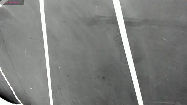 shaden  online show from 04.17.26